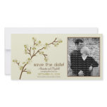 Olive/Ivory Cherry Blossom Save the Date Photocard