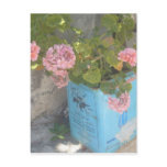 Olive Oil Tin in Bloom postcards