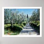 OLIVE TREES IN RIMAGGIO PRINT