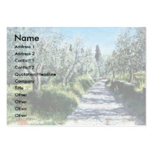 OLIVE TREES IN RIMAGGIO  / Tuscany Landscape Business Card Templates