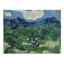 Olive Trees Postcard