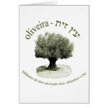 Oliveira, Milhares de anos provendo óleo e luz cards