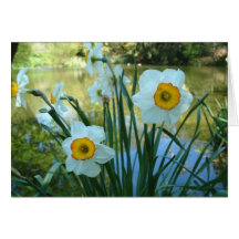 Oliver's Orchard Greeting Cards