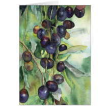 olives galare card