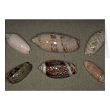 Olives Shell Card