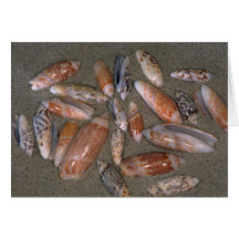 Olives Shell Card