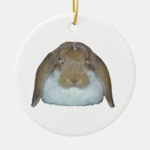 Ollie Bunnies - Rabbit Bunny Cute Adorable Christmas Ornament