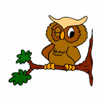 Olly Owl