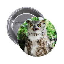 OLLY THE OWL PINS