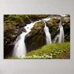 Olympic National Park Posters