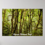 Olympic National Park Posters