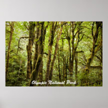 Olympic National Park Posters
