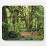 Olympic National Park, WA 2 Mouse Mats