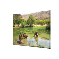 Oman, Wadi darbat, dromedaries pasturing in the Canvas Prints