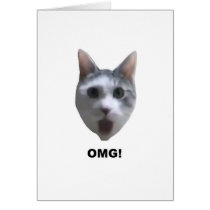 OMG CAT! (what has he seen?)