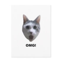 OMG CAT! (what has he seen?)