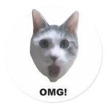 OMG CAT! (what has he seen?)