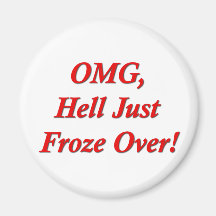 OMG, Hell Just Froze Over! Refrigerator Magnets