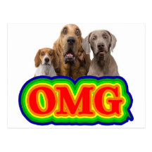 OMG Rainbow with surprised dogs! Postcard