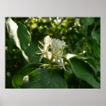 On a Wild Flower Bush Print