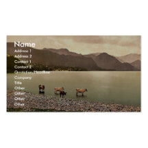 On Derwentwater, cattle study, Lake District, Engl Business Card