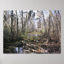 On the Bayou Poster