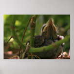 On the Cusp Poster