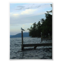 on the docks photograph