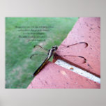 On the Edge Dragonfly Fine Art Print w/verse