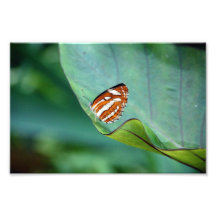 On the Edge Photograph