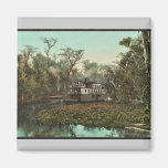 On the Ocklawaha, Florida classic Photochrom Fridge Magnet