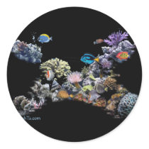 On The Reef-Aquarium Scene by FishTs.com