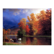 On the Saco Postcards