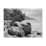 On the shores of Loch Ness with the monster Postcards