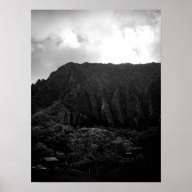 On the way to the Buddhist Temple, Oahu B&W Poster