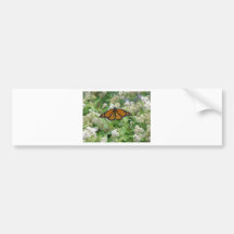 On the wings of a Butterfly Bumper Stickers