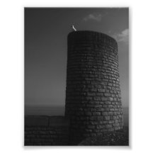 On Watch. Photo Art