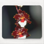 Oncidium flowers mouse pads
