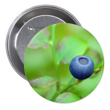 One Blueberry Pin