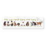 One can NEVER have too many cats. Bumper Sticker