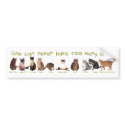 One can NEVER have too many cats. bumper stickers