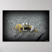 One Claw Joe Posters