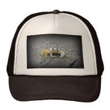 One Claw Joe Trucker Hats