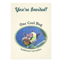 One Cool Bug Caterpillar Invite
