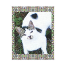 One Cool Cat (Girl) Stretched Canvas Prints
