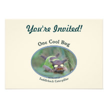 One Cool Caterpillar Bug Personalized Invitations