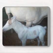One Day Old Colt -Baby Powder Mousepads