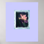one iris  Al Riccio Print