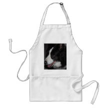 One Lady Apron
