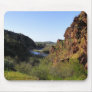 One Of Our Views On Way To Game & Fish Expo 2010 Mouse Pads